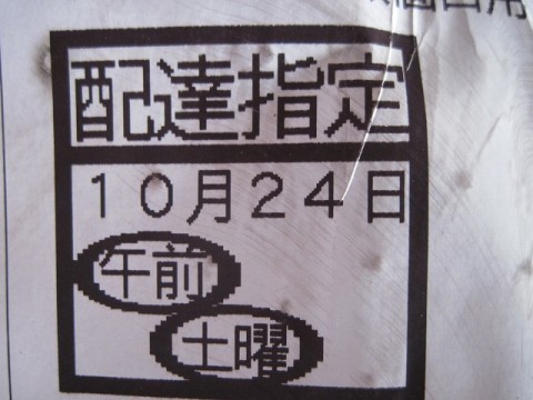 inzi5dmd862bybijokcm_480_480-b8dc839c.jpg