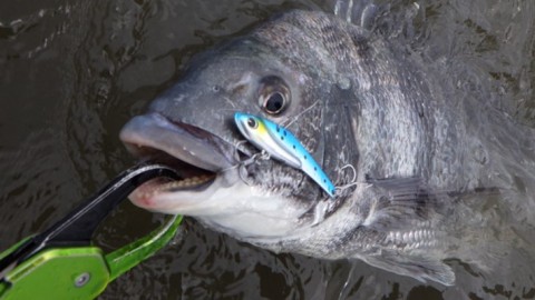 io4r6rkmff3id3syhub9_480_270-ccb836af.jpg