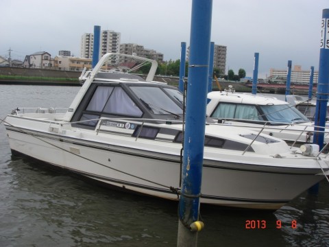 io674t3itd9k6wzwrv4v_480_480-7cfec998.jpg