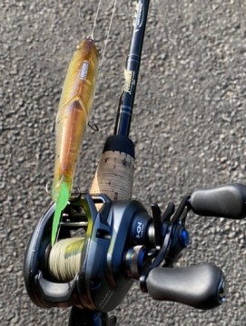 iomeem4kr95gbo93h9ek_361_480-6d33db19.jpg