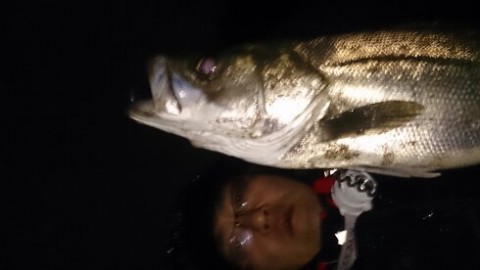 ionn9o8ydfd4h6ruabe4_480_480-669f7403.jpg