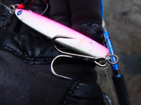 iop7dcepsbzt3dbopdmi_480_480-c0ea91b4.jpg