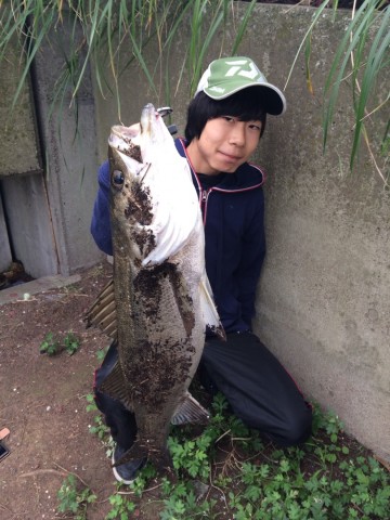 iotokkas24upp8yfrn3u_690_920-85a1c9b4.jpg