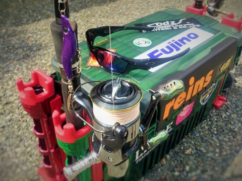 ipgr8ekc4cib2ixsudwb_480_480-dc105594.jpg