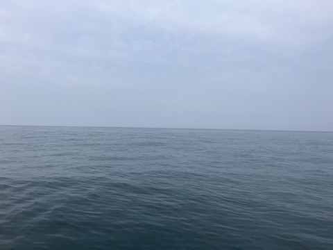iphna44s6mvfp95artt2_480_360-2f10d480.jpg