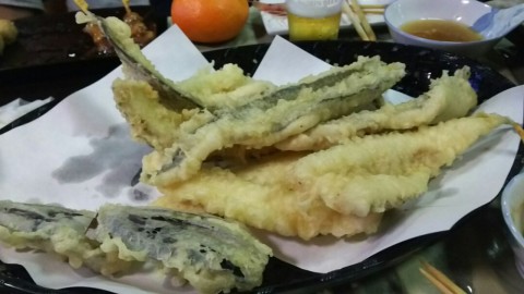 iphxjkztcnnsdrkbdan5_480_480-b6c3c207.jpg