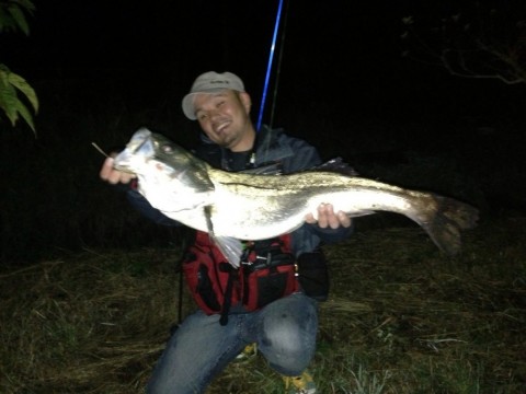 ipwy3bhnooin8ckso5xd_480_480-02c6012b.jpg