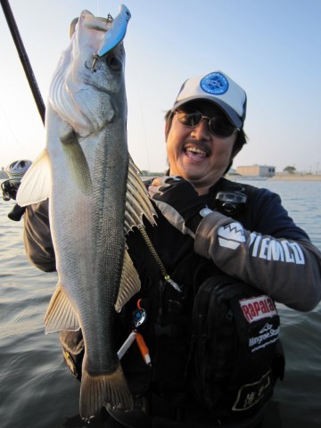 irUL6SG85pfWDL5BOBvp_480_480-36f44629.jpg