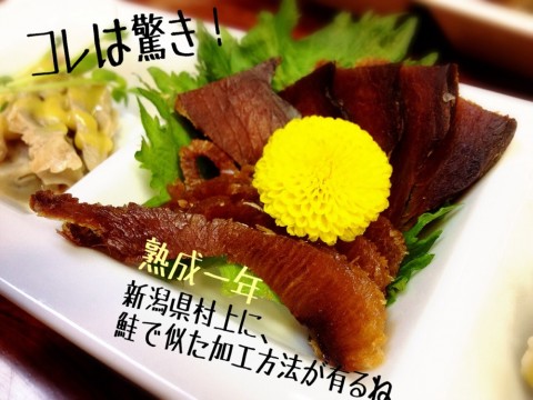 irbt34biet82bcgba23c_920_690-41b2f42c.jpg