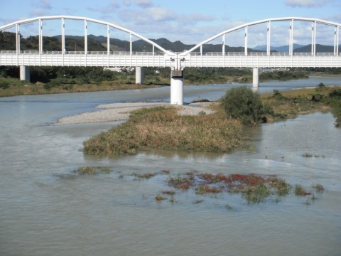 ird7ab4685jnhkg2c29m_480_480-ccc84136.jpg