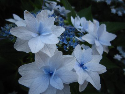 irnjfeuzgv78gohrpv8p-8895c49f.jpg