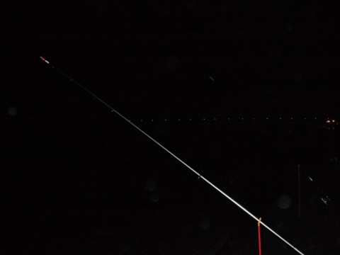 irp83kijr2hdvtjmdhv9_480_480-c98b440e.jpg