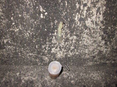 is9pjgjtdyymciafk7z2_480_480-3217c6f0.jpg