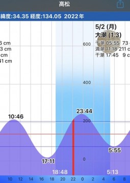 isaic9y7cjnenhycrsty_340_480-97dee562.jpg