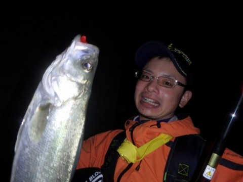 isj8kei952uj9emo7dxp_480_480-1a854cb2.jpg