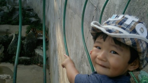 isk3hts8cp3ysprvy9c7_920_518-5032b4d9.jpg