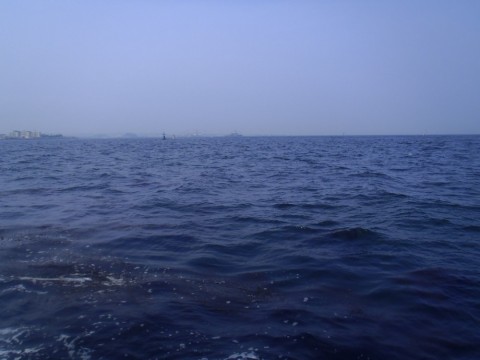 iso7t9tpvghw9r4irn2c_480_480-d14e9d22.jpg