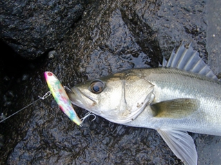 isxrvu847799ywjtxaw3-5b8ddaba.jpg