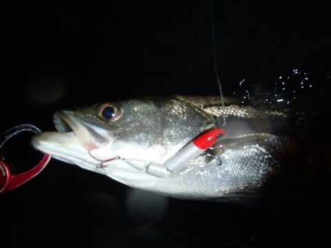 it3ksrviwrwtw5rkhc49_640_480-4670f101.jpg