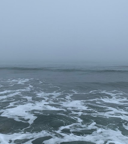 itbexizgwcgy5xsgwx79_480_480-3289ca94.jpg