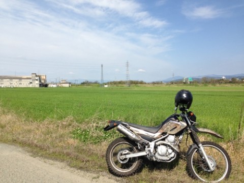 itg35ecbeoctod6gsakb_480_480-c9e103e8.jpg