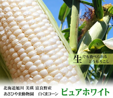 iu6ywja9rytk86cpgi4y_800_700-ad059c67.jpg