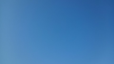 iu8zxjnm7fyekyykws9a_480_480-d118e6f6.jpg