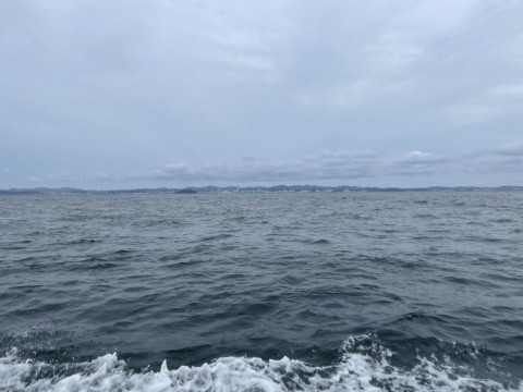 ium7gueveskhgx7z7z2y_480_480-01847959.jpg