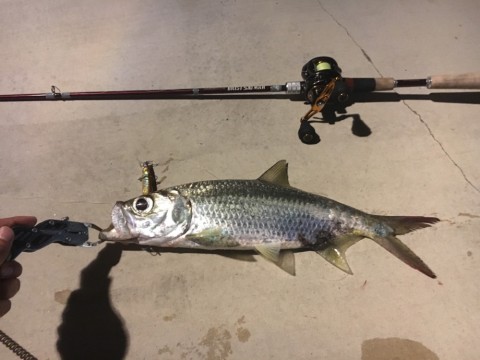 iuu286gb4mavgtk62f9j_920_690-97f8a466.jpg