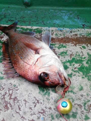 iuubkkwgbmjs5axs5hap_690_920-61591abd.jpg
