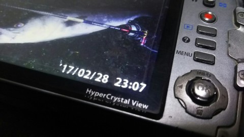 iuxg2gxyhc2fgta7z4ms_480_480-e9cc8c04.jpg