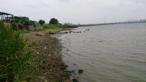 iuz7mp3tn788aweg54ge_920_517-086f8fef.jpg