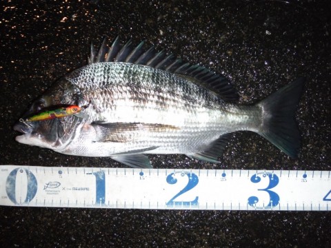 iuzx7pg878u9zw858npi_480_480-3ad31d99.jpg