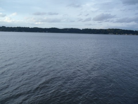 ivdpzxr8v86kveffdfb4_480_480-11abbc96.jpg
