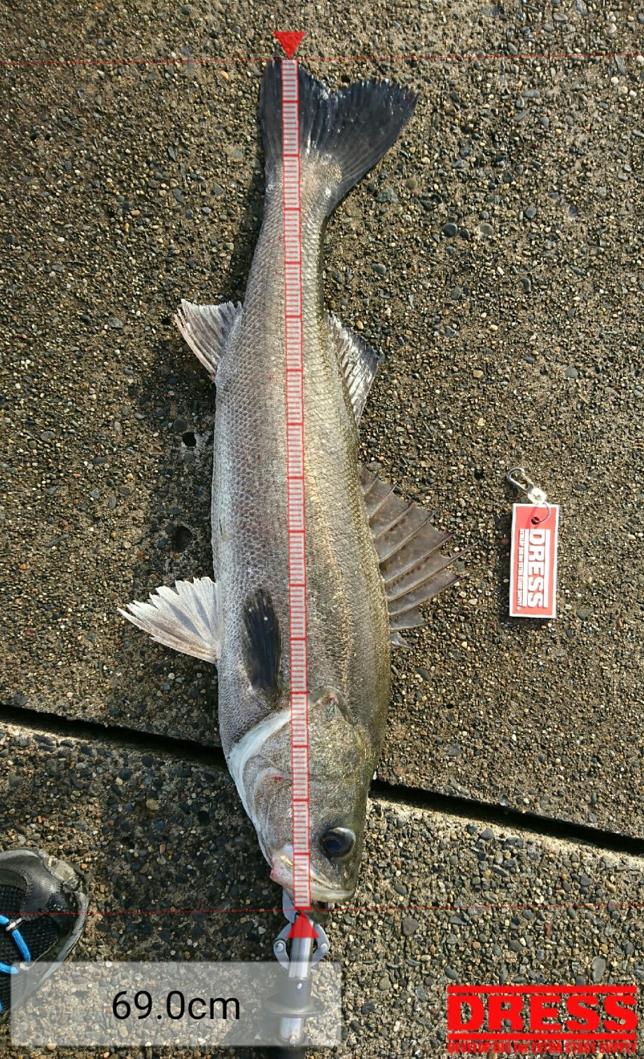 Keep Fishing 爆風 川崎新堤 モアザンリアルスピン Keep Fishing 爆風 川崎新堤 モアザンリアルスピン