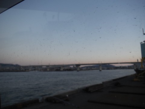 ivunmagk29w7xgtmhf22_480_480-8e459626.jpg