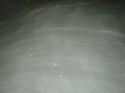 ivwpmcukaweny2ctubvk_480_480-9db335e7.jpg