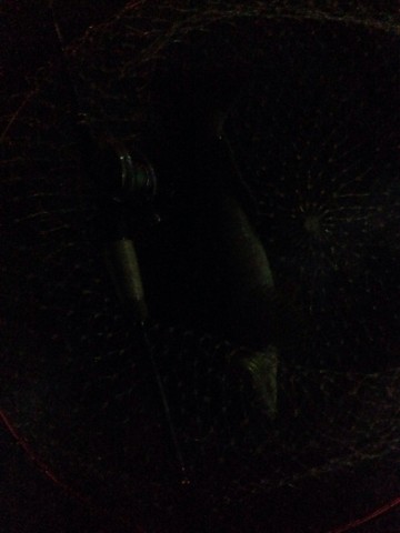 ivyx47y6zw4wtd5oc7hz_690_920-ec0927f5.jpg