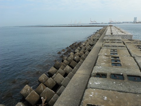 iwbp9k86obeg8cpi5zv3_480_480-cf514c2e.jpg