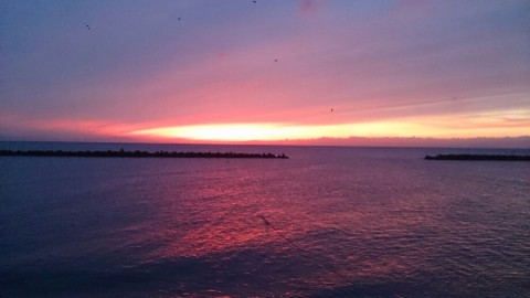 iwdarw8omvbfhv5xrw8t_920_517-351dc9de.jpg