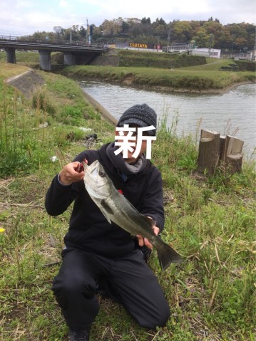 iwj3wcfdnpjn8hjbdkdw_689_920-b9e5b2a3.jpg