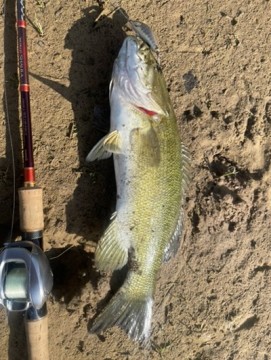 iwmguakyvbts44wbt2dp_361_480-5bf36485.jpg