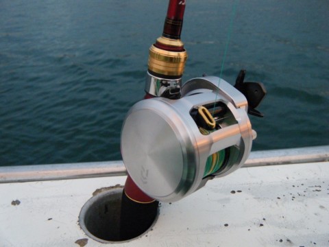 iworg43s8x4enysbbxez_480_480-d714dd23.jpg