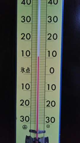 iwpe9gp7j94prxz46usi_518_920-1e97cce1.jpg