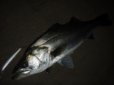 iwt9fepfduk4wsgkbi3y-72979711.jpg