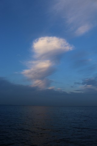 iwtk87nve8oodcwozg88_480_480-67f4622a.jpg