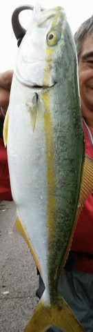 ix3cg22rsicfwocxzfm5_135_480-bb2546fd.jpg