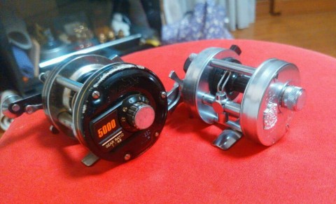 ixd77ug2k8h3f8p7mkdb_920_558-7595a1b5.jpg