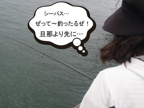 ixtcf5jp2vtdf5pica2x_480_480-c96754bf.jpg