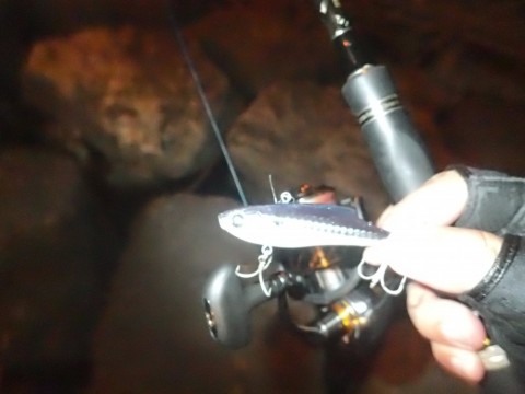 ixx872zxafmpz6o26ij9_480_480-b4bb7202.jpg